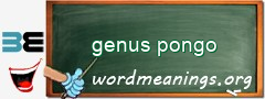 WordMeaning blackboard for genus pongo